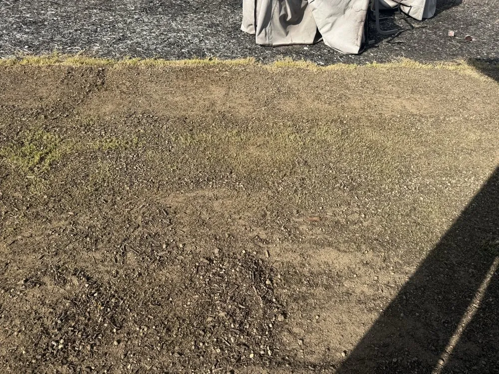 Professional lawn mowing service in New Braunfels, TX - A & A Lawn Care