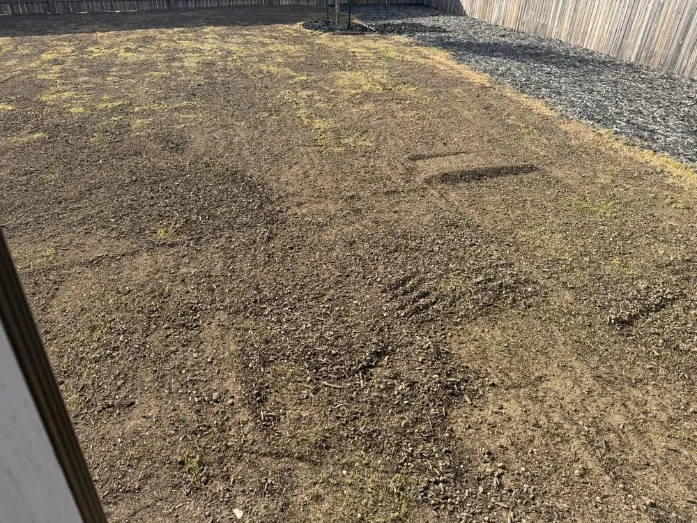 Affordable lawn mowing service experts serving New Braunfels, TX - A & A Lawn Care