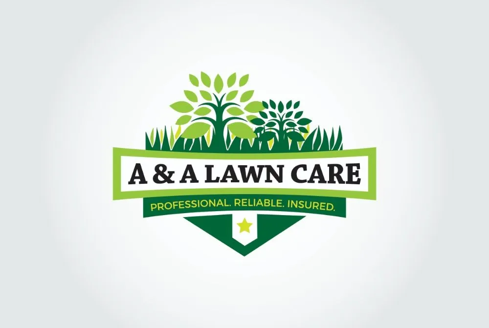 Professional yard cleanup service experts serving New Braunfels, TX - A & A Lawn Care