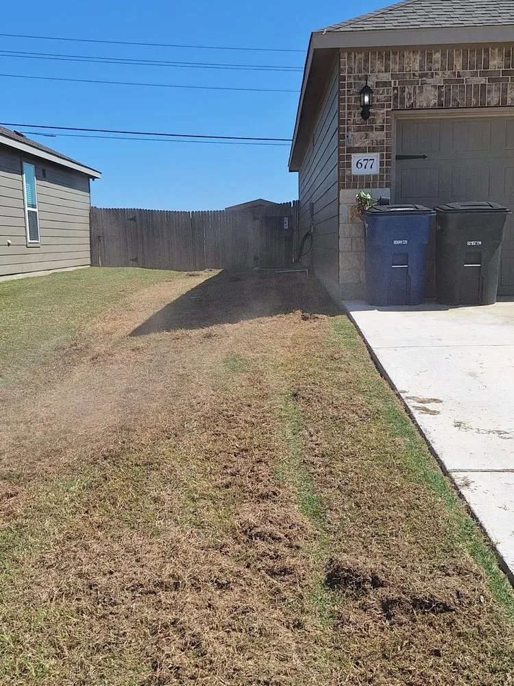 Local lawn care service for beautiful yards in Schertz, TX by A & A Lawn Care
