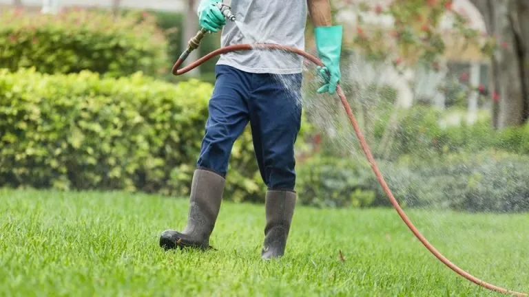 Professional garden landscaping in Schertz, TX - A & A Lawn Care