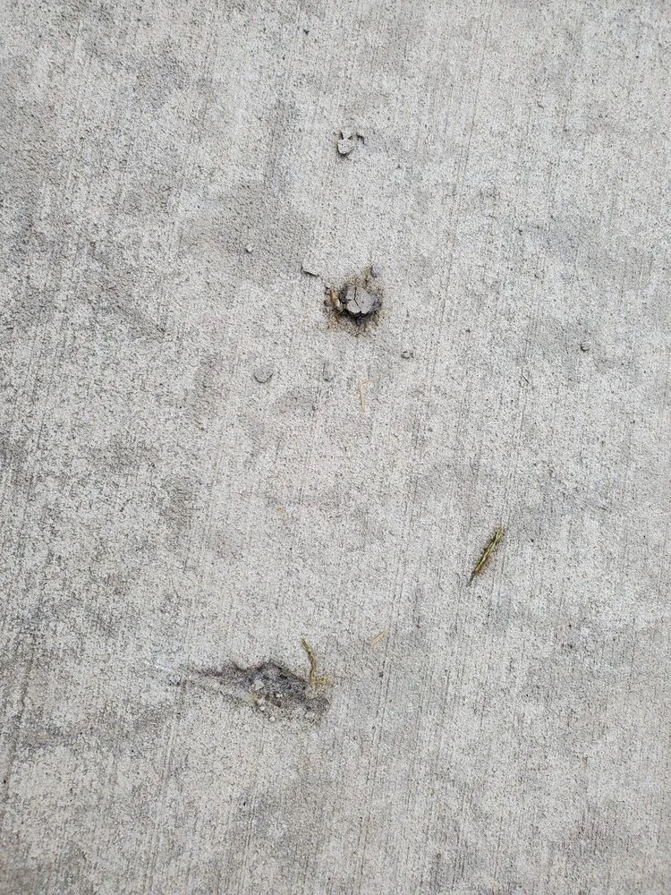 Reliable outdoor landscaping in Florence, KY by A & A Lawncare & Landscaping