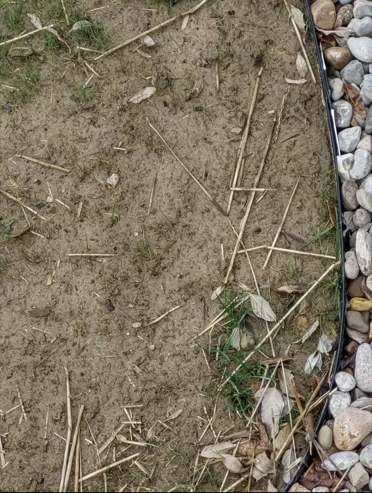 Professional yard cleanup service for homes across Florence, KY - A & A Lawncare & Landscaping