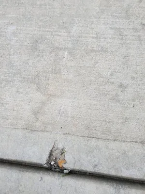 A & A Lawncare & Landscaping