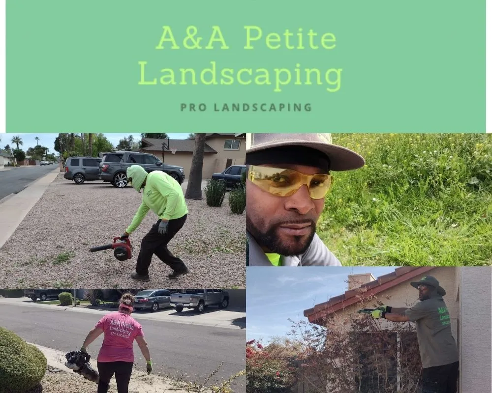 Local outdoor landscaping in Glendale, AZ by A & A Petite Landscaping