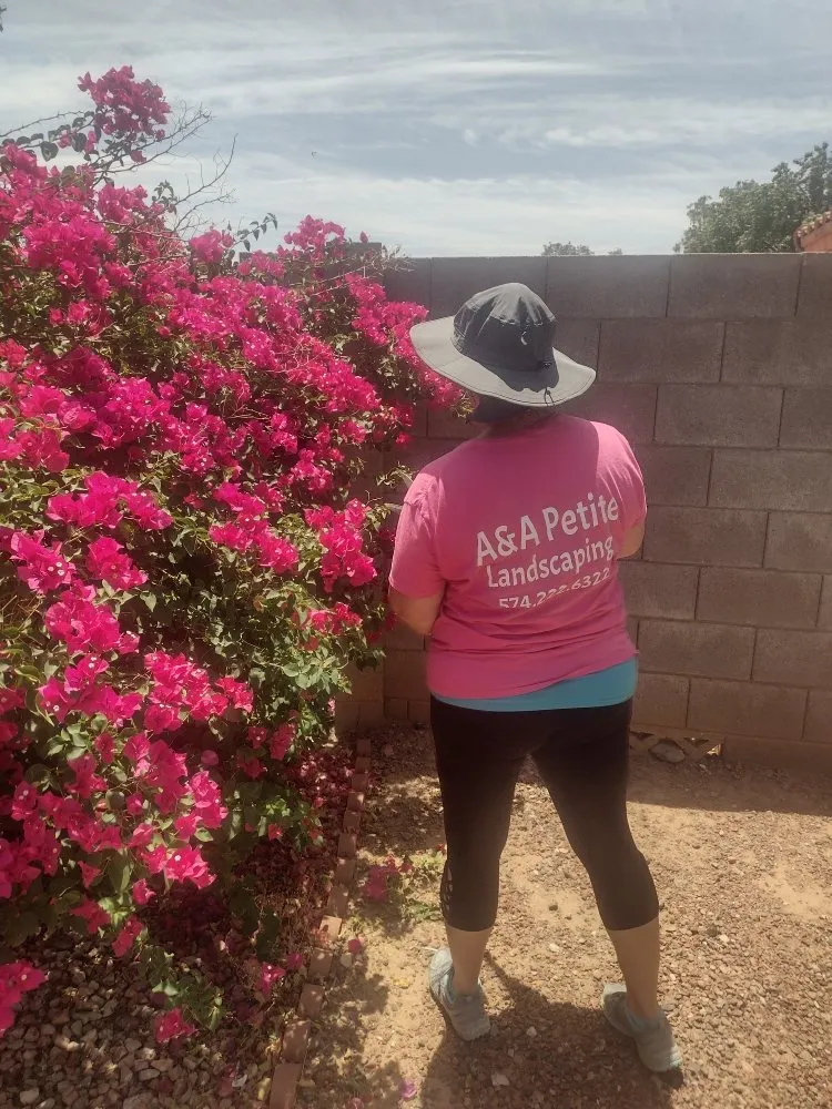 Expert landscaping services for outdoor upgrades in Glendale, AZ by A & A Petite Landscaping