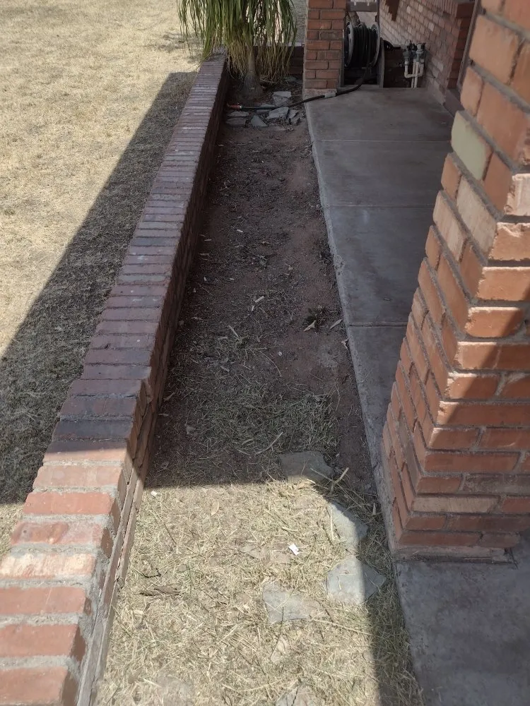 Professional yard cleanup service in Glendale, AZ - A & A Petite Landscaping