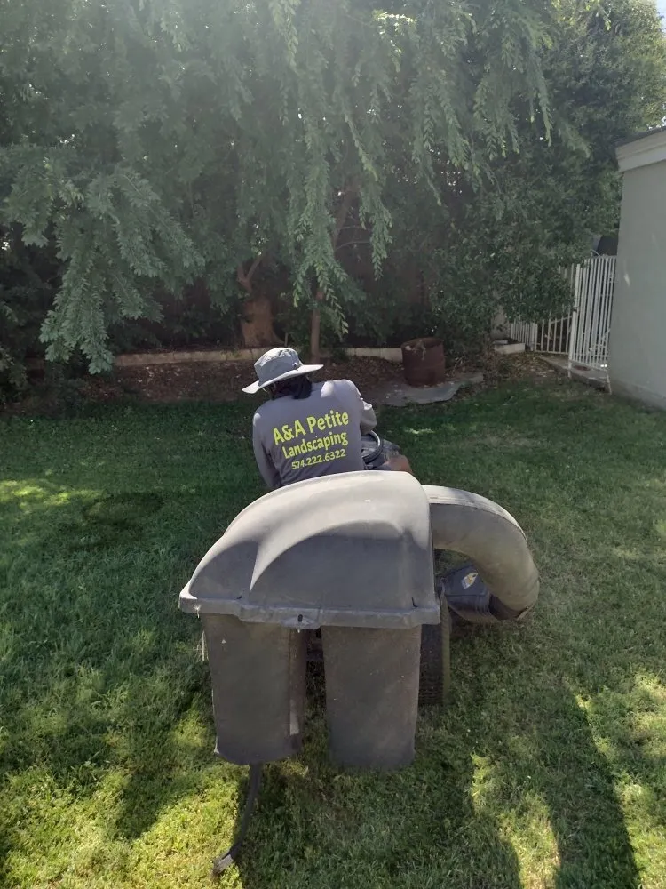 Expert outdoor landscaping in Glendale, AZ by A & A Petite Landscaping