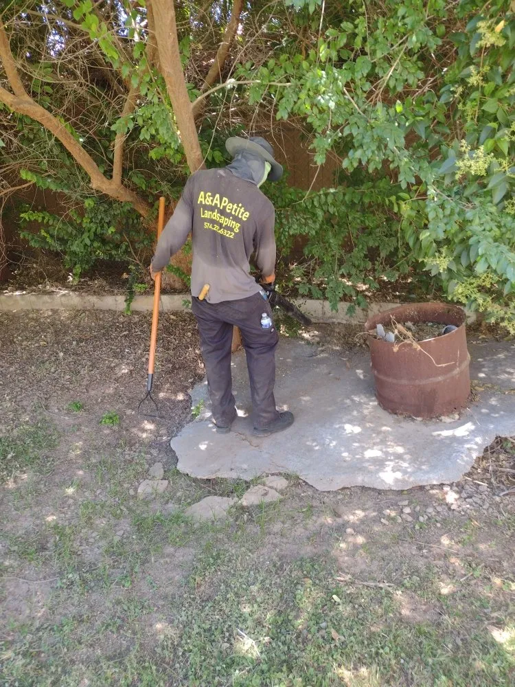 Expert landscape design for homes across Glendale, AZ - A & A Petite Landscaping