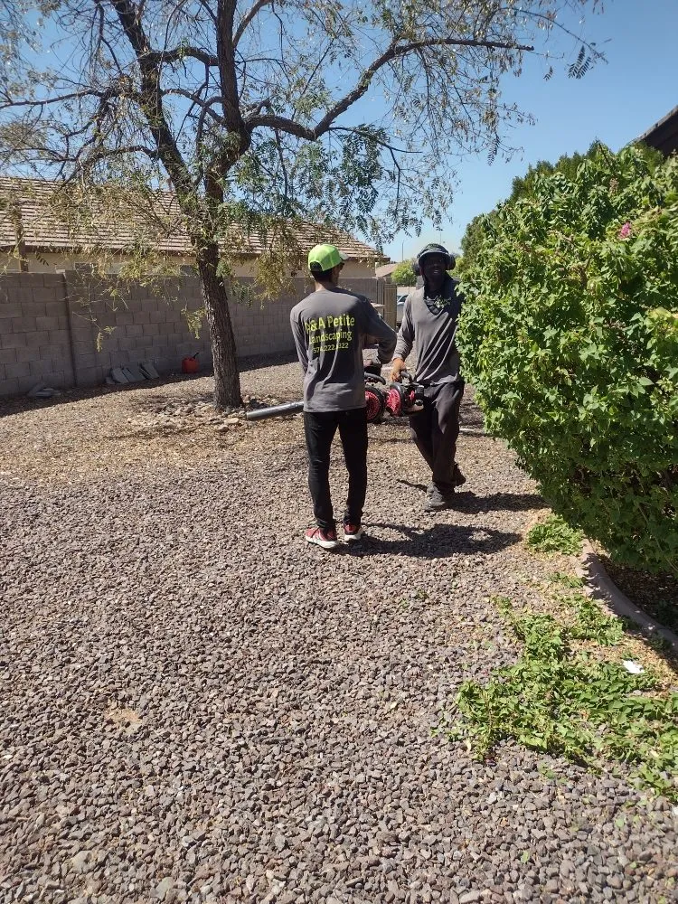 Trusted yard maintenance experts serving Glendale, AZ - A & A Petite Landscaping