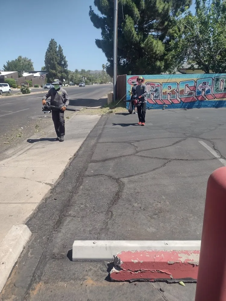 Reliable outdoor landscaping near you across Glendale, AZ - A & A Petite Landscaping