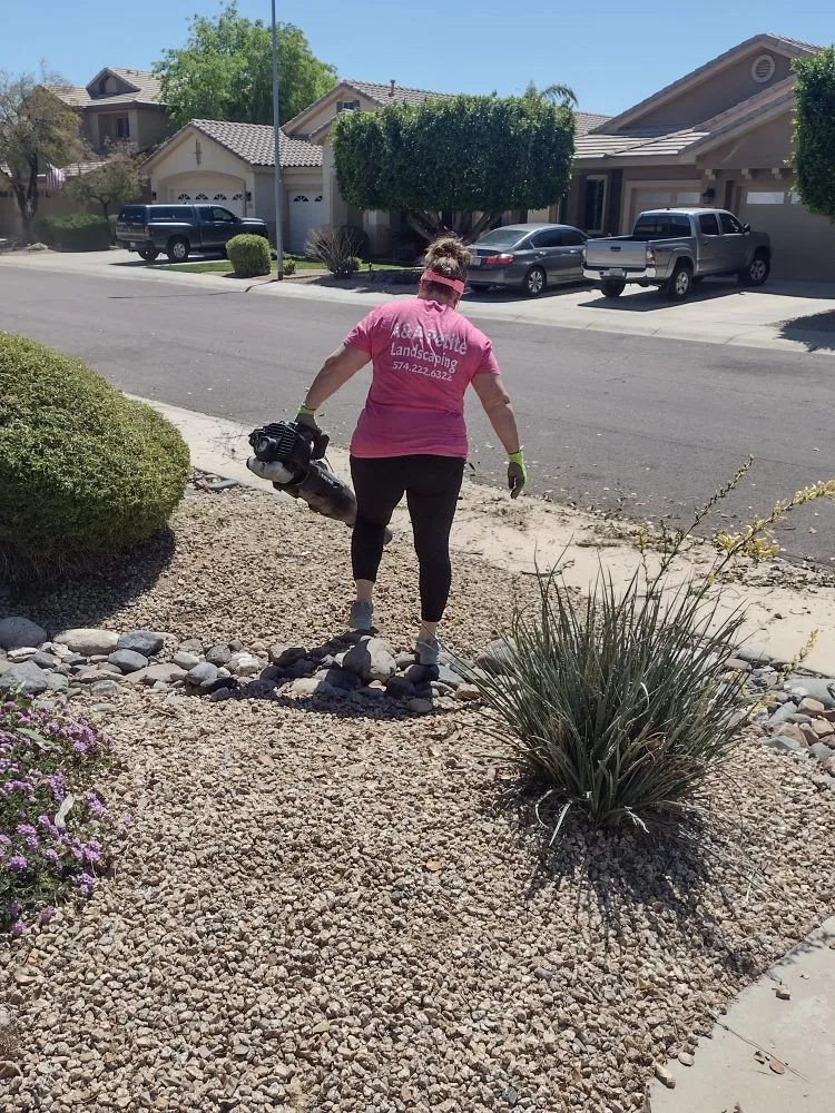 Reliable yard maintenance experts serving Glendale, AZ - A & A Petite Landscaping