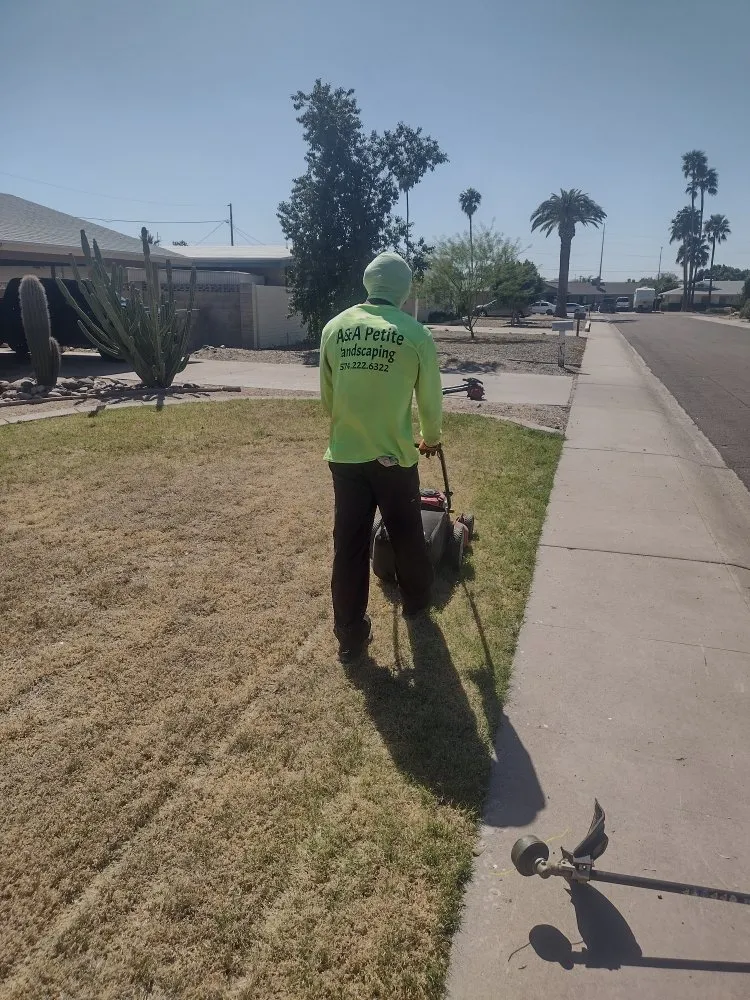 Reliable landscape installation in Glendale, AZ by A & A Petite Landscaping