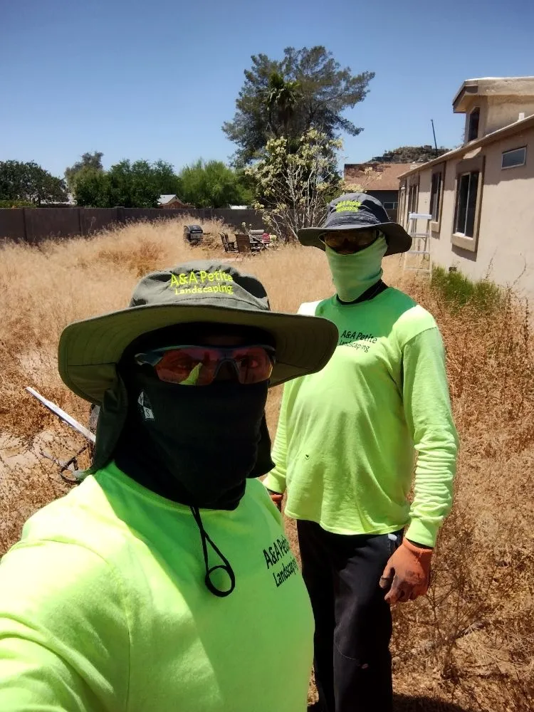 Affordable residential landscaping in Glendale, AZ by A & A Petite Landscaping