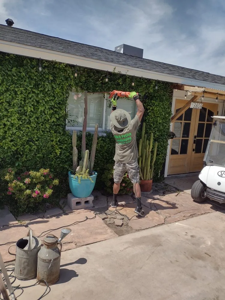 Reliable lawn care service for beautiful yards in Glendale, AZ by A & A Petite Landscaping