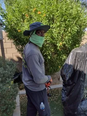 A & A Petite Landscaping Logo