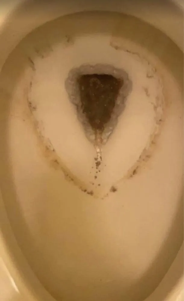 Top-rated landscape installation experts serving Tucson, AZ - A & A Prime Solutions