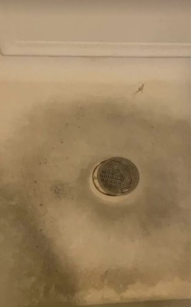 Affordable outdoor landscaping near you across Tucson, AZ - A & A Prime Solutions