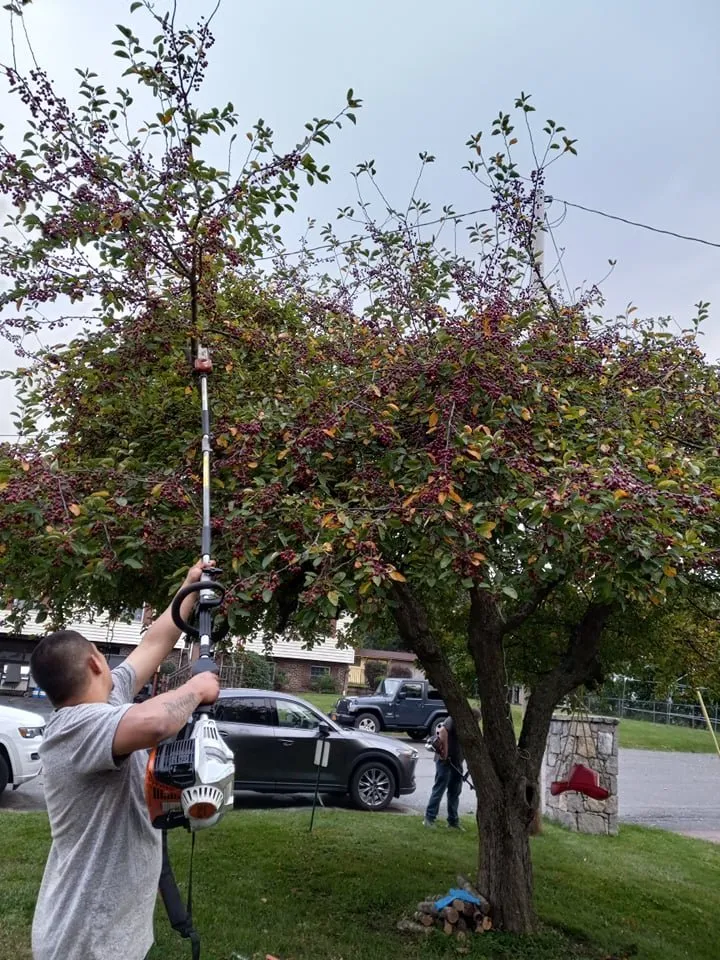 Reliable yard maintenance experts serving Poughkeepsie, NY - A & A Solutions-Landscaping