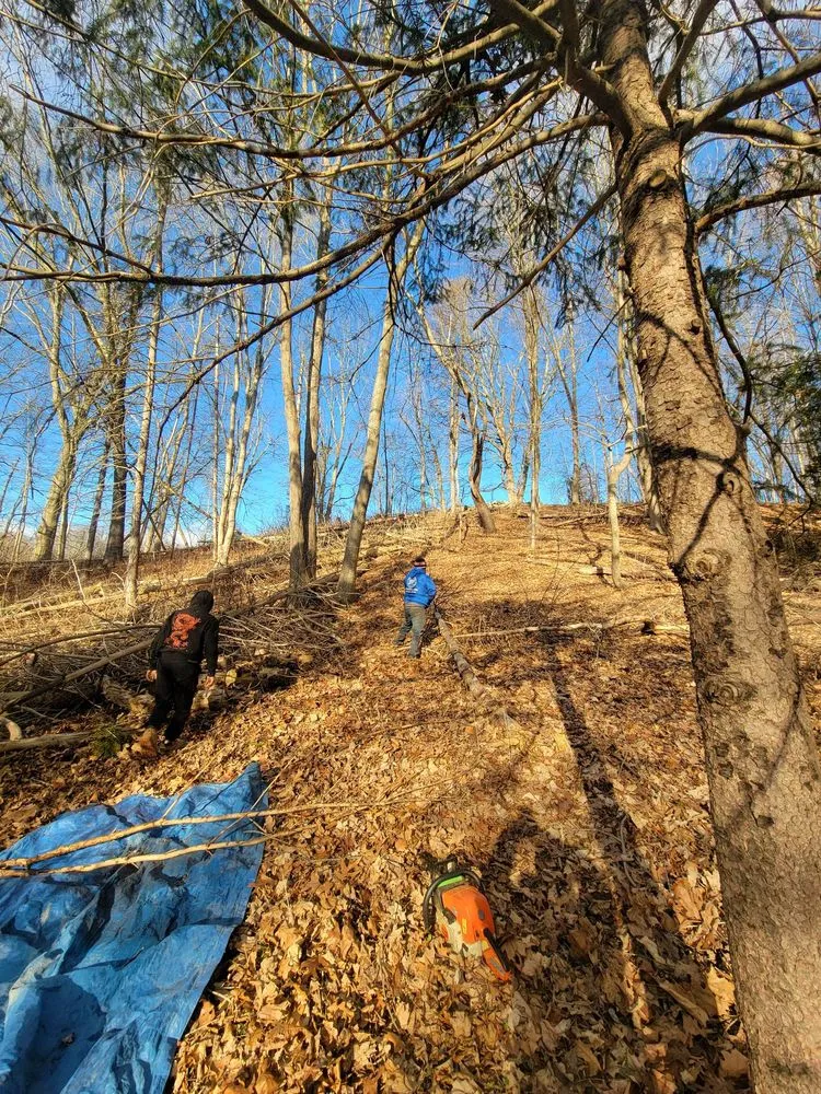 Reliable garden landscaping for year-round maintenance across Poughkeepsie, NY - A & A Solutions-Landscaping