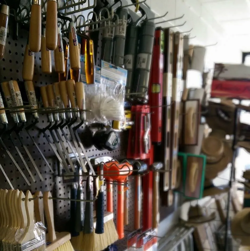 Local yard cleanup service with custom design in Citrus Heights, CA by A & A Stepping Stone