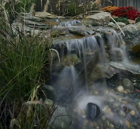 Reliable yard cleanup service near you across Citrus Heights, CA - A & A Stepping Stone