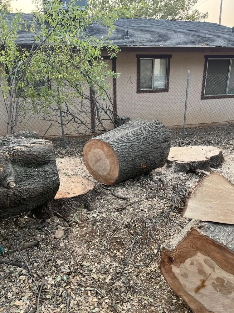 Affordable landscaping services experts serving Anderson, CA - A & A Stump Grinding