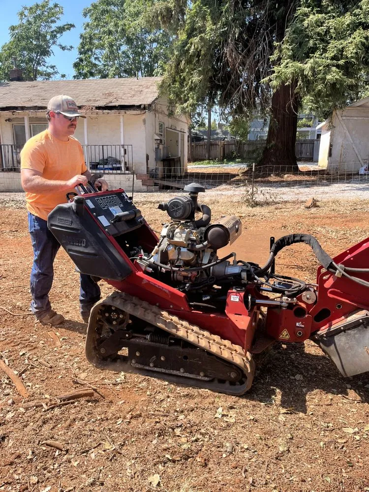 Top-rated yard cleanup service for beautiful yards across Anderson, CA - A & A Stump Grinding