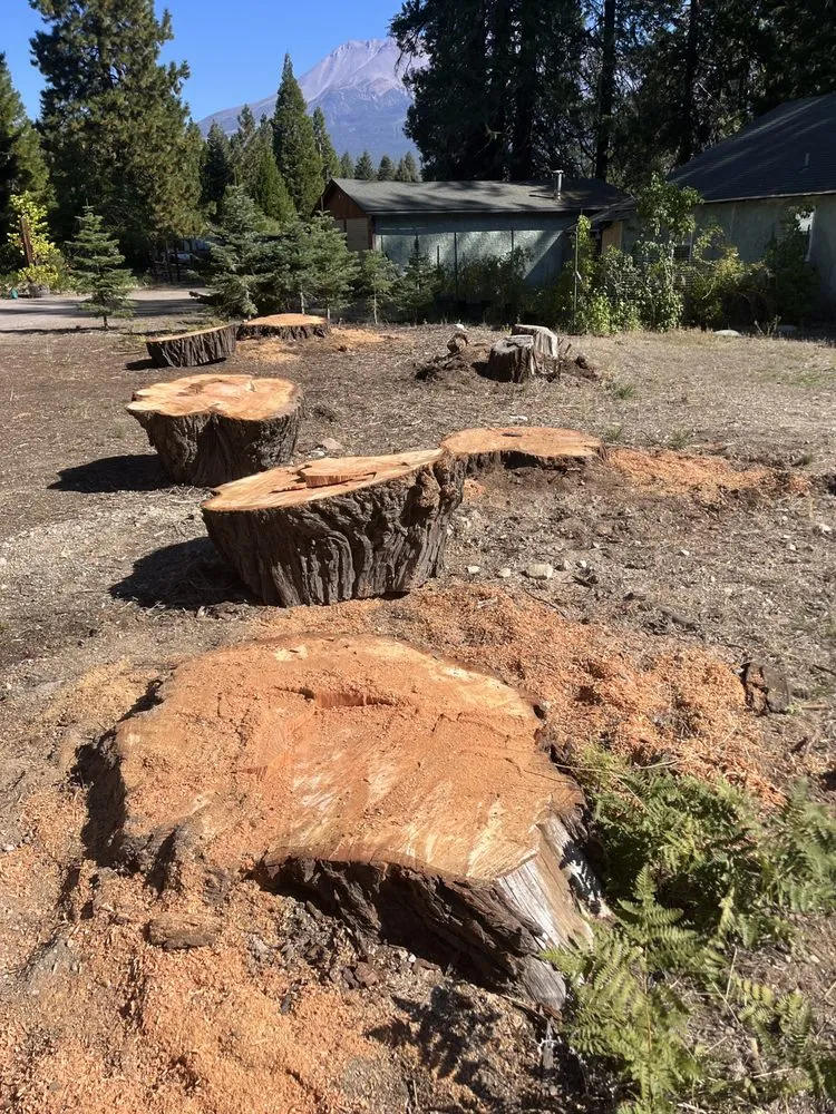 Custom lawn care service in Anderson, CA - A & A Stump Grinding