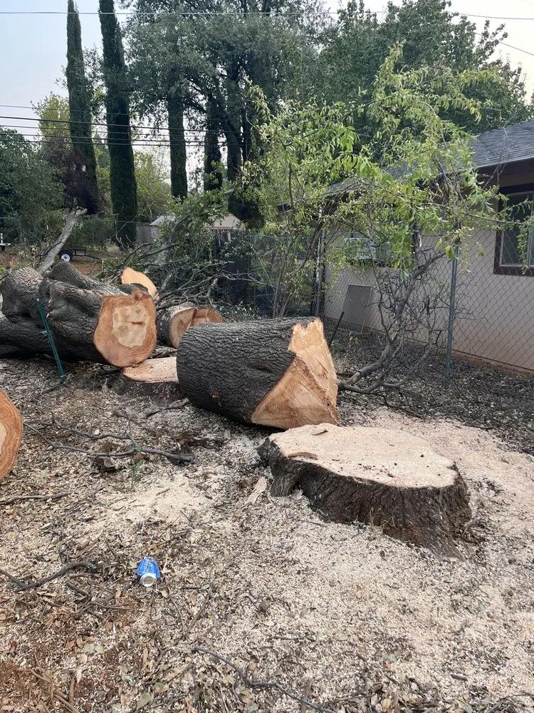 Custom landscaping services in Anderson, CA by A & A Stump Grinding