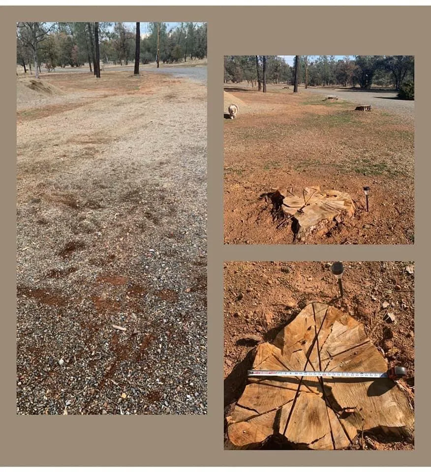 Custom residential landscaping in Anderson, CA - A & A Stump Grinding