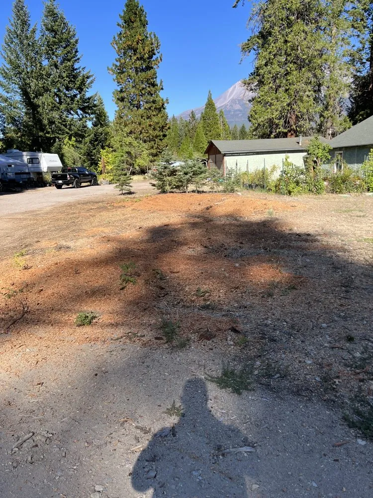 Trusted lawn care service with custom design in Anderson, CA by A & A Stump Grinding