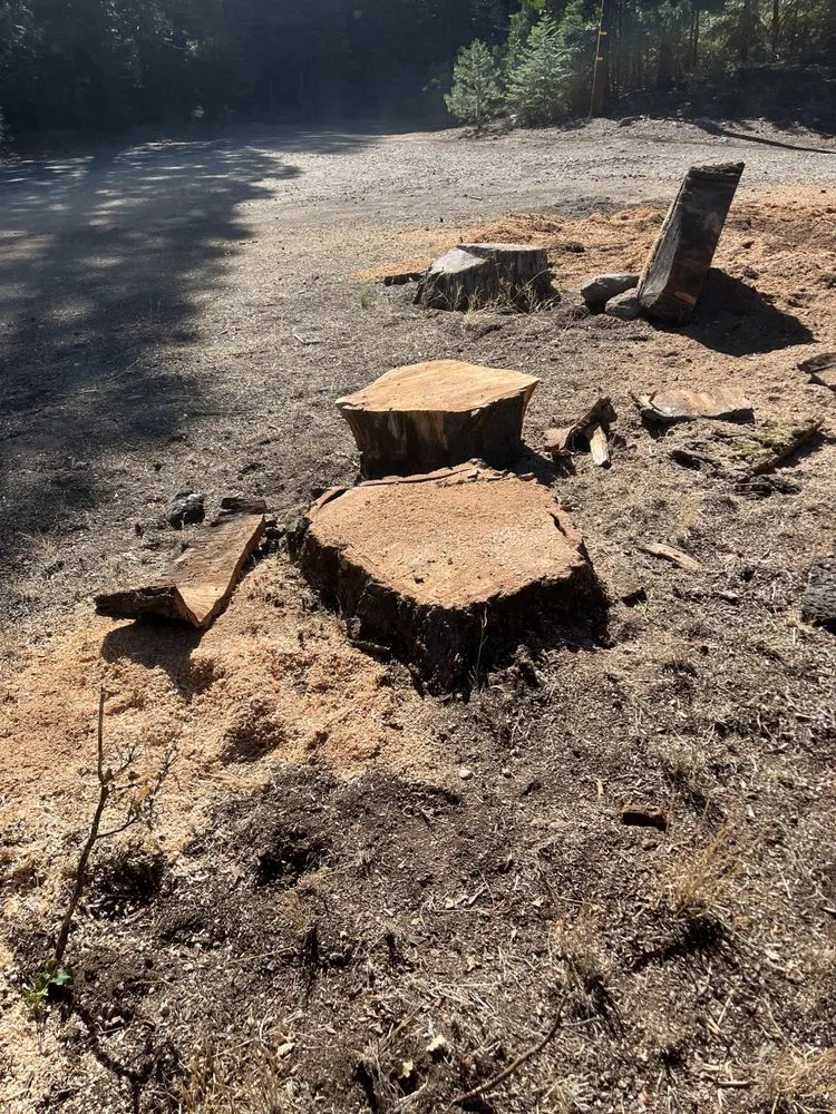 Reliable landscaping services for year-round maintenance across Anderson, CA - A & A Stump Grinding