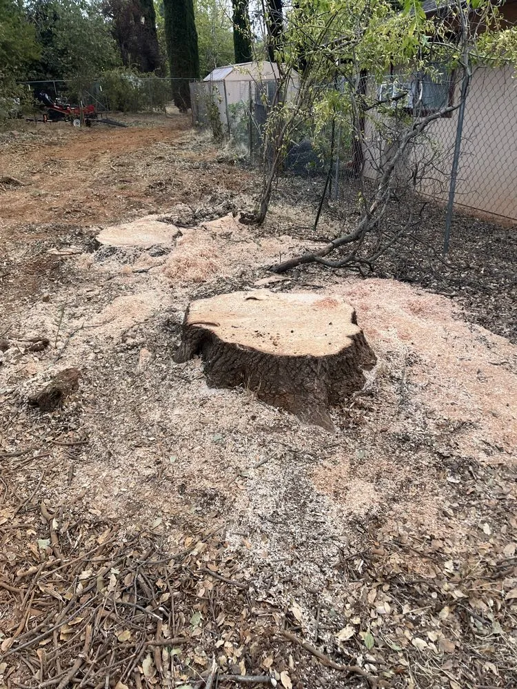 Expert landscaping services for beautiful yards across Anderson, CA - A & A Stump Grinding