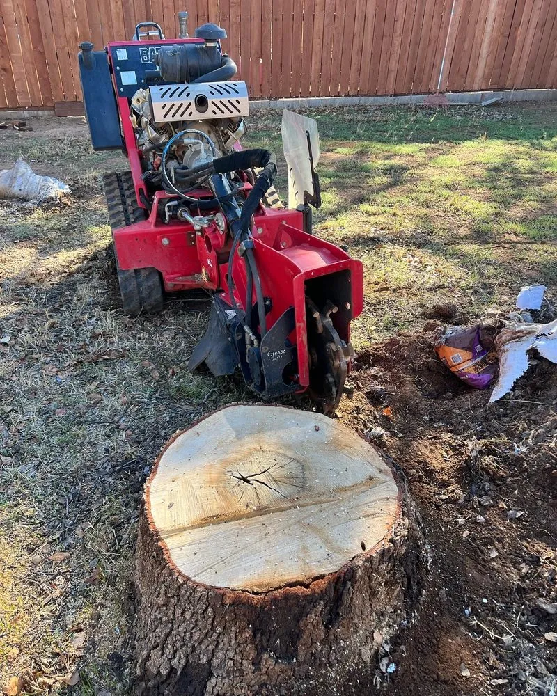 Top-rated yard maintenance experts serving Anderson, CA - A & A Stump Grinding