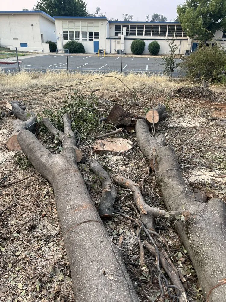 Expert landscape installation in Anderson, CA - A & A Stump Grinding