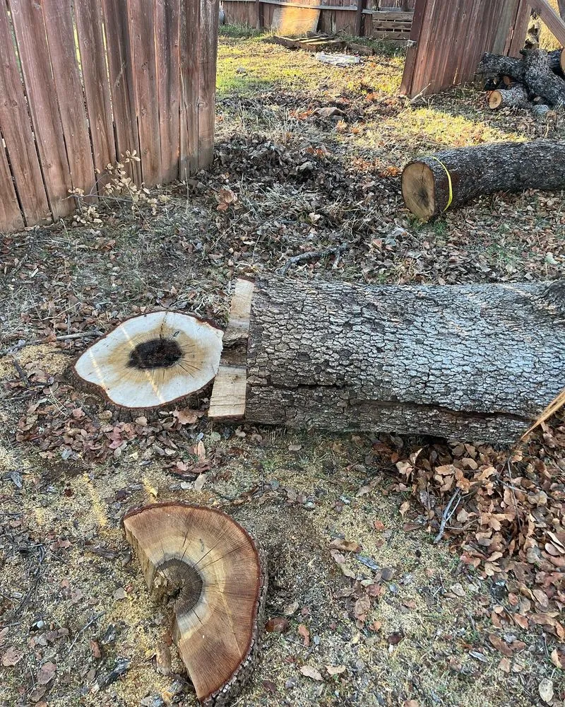 Custom yard cleanup service for year-round maintenance across Anderson, CA - A & A Stump Grinding