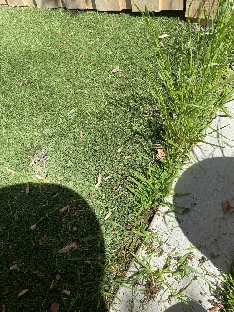 Trusted lawn mowing service in Fresno, CA - A & A Syn-Fresh