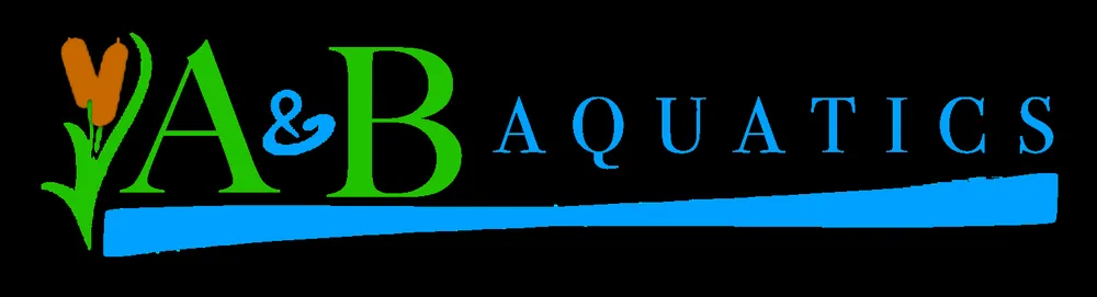 Custom landscaping services for homes across Odessa, FL - A & B Aquatics