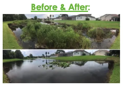 Professional landscape design for homes in Odessa, FL by A & B Aquatics