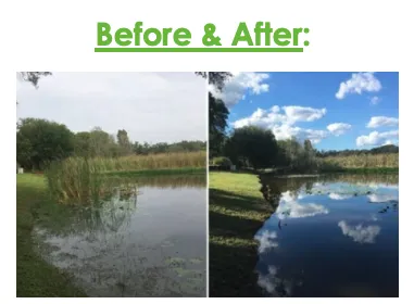 Reliable landscaping services experts serving Odessa, FL - A & B Aquatics