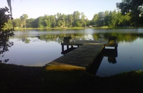 Reliable yard cleanup service experts serving Odessa, FL - A & B Aquatics