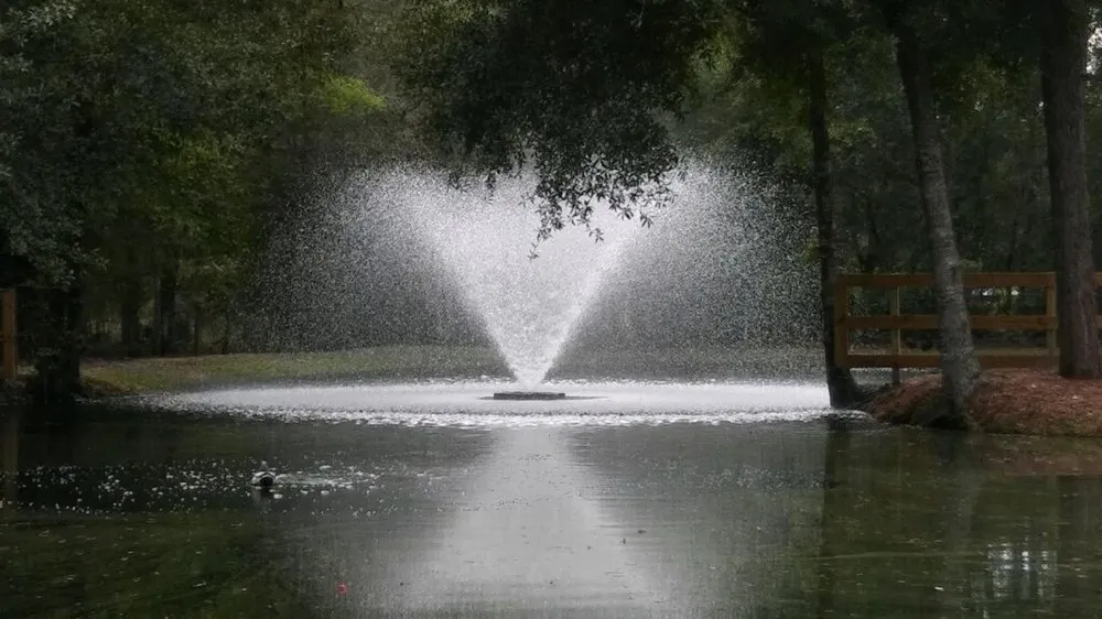 Affordable yard cleanup service with custom design across Odessa, FL - A & B Aquatics