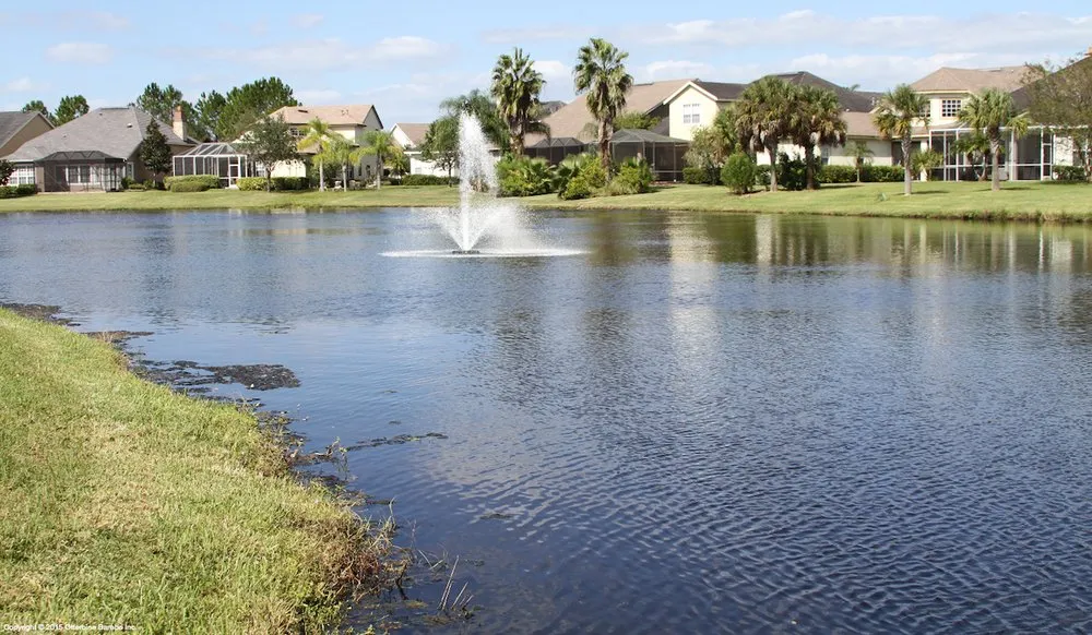 Professional landscape design in Odessa, FL - A & B Aquatics
