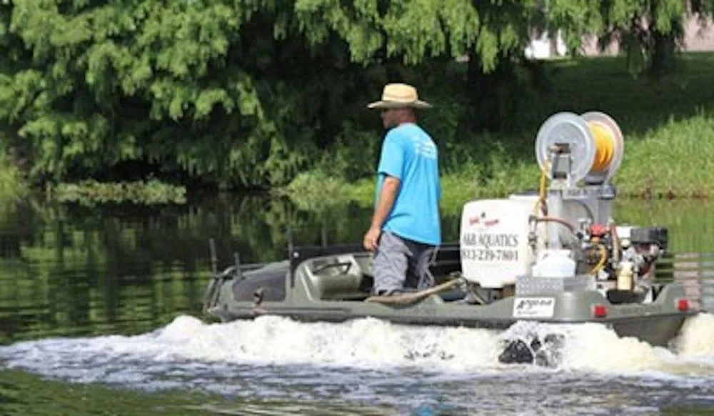 Trusted yard cleanup service experts serving Odessa, FL - A & B Aquatics
