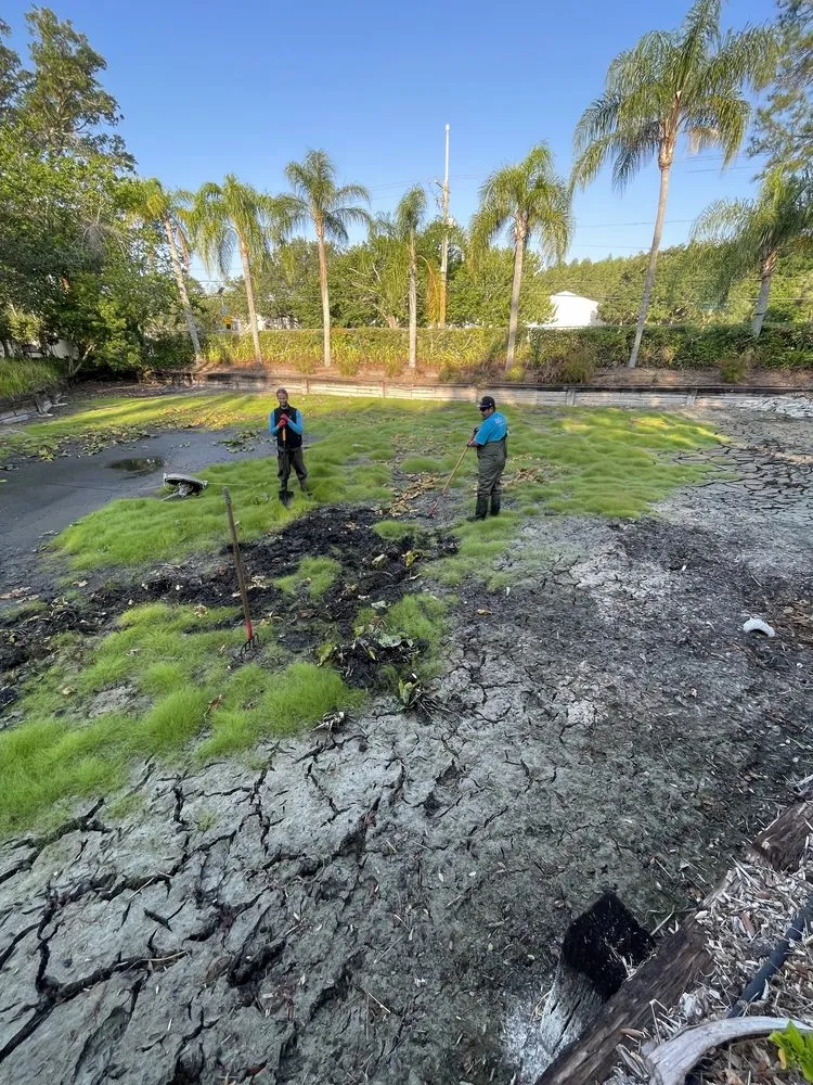 Affordable garden landscaping experts serving Odessa, FL - A & B Aquatics