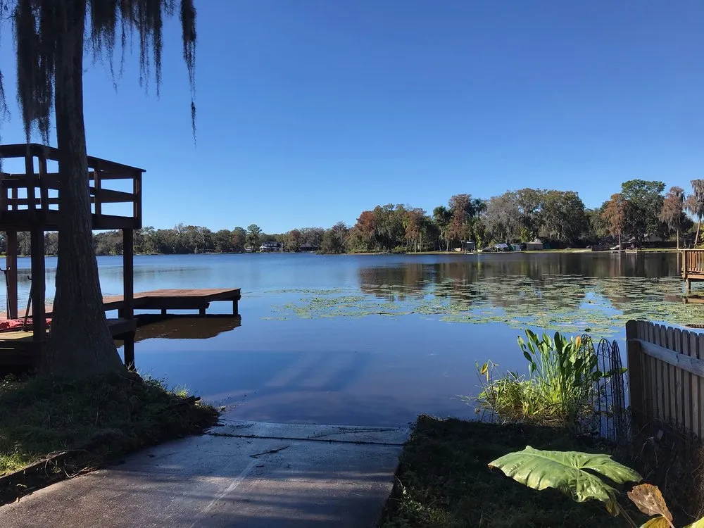 Affordable yard cleanup service in Odessa, FL by A & B Aquatics
