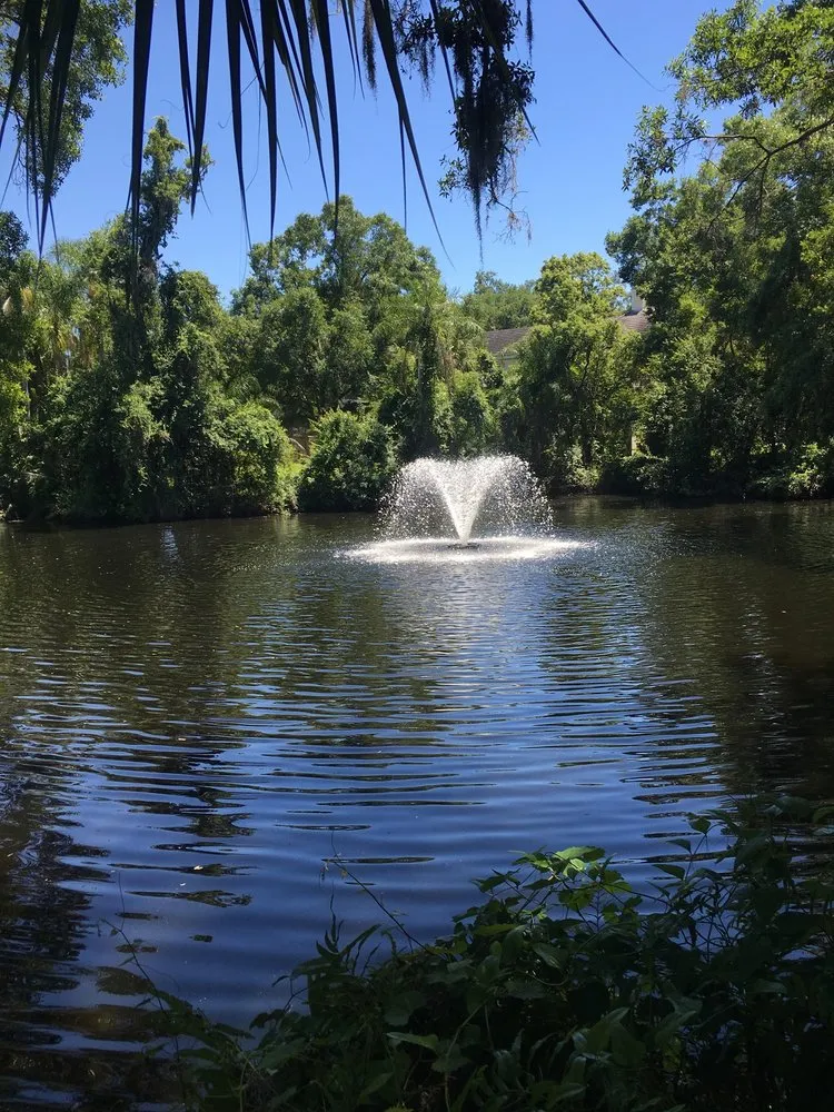 Affordable yard cleanup service for beautiful yards in Odessa, FL by A & B Aquatics