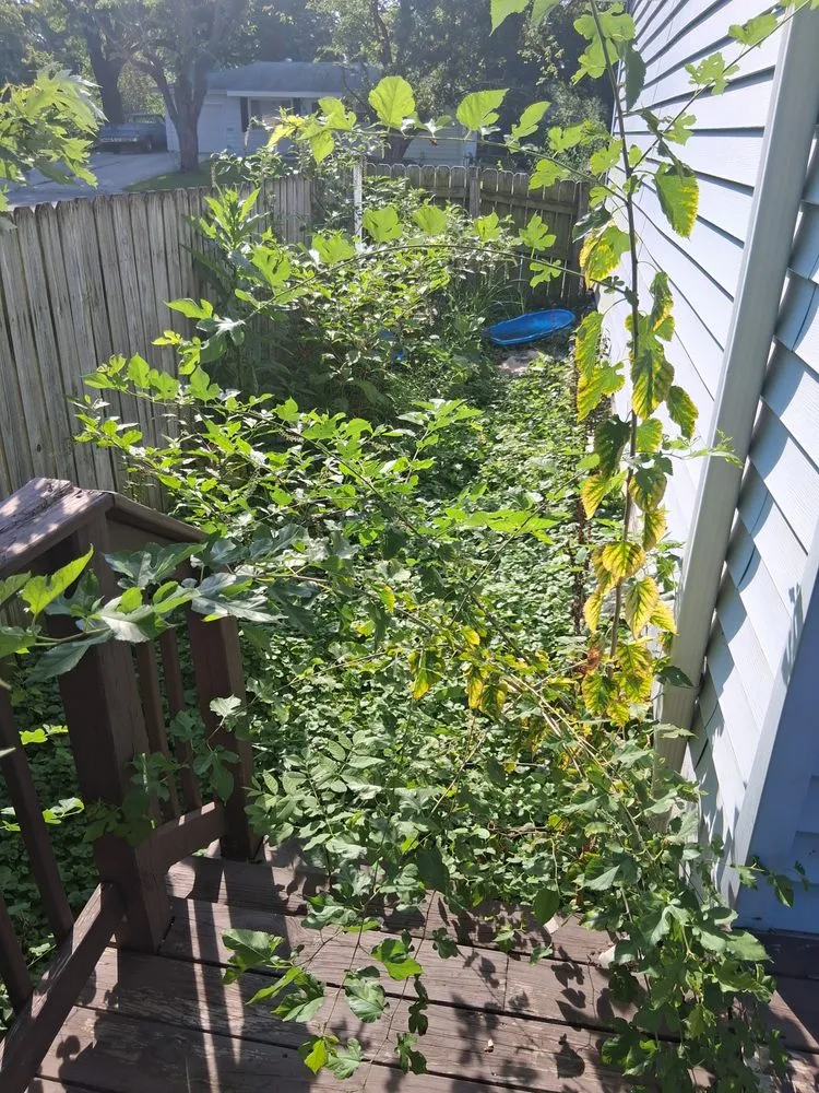 Reliable yard cleanup service with custom design across Independence, MO - A & B Crafted Creations