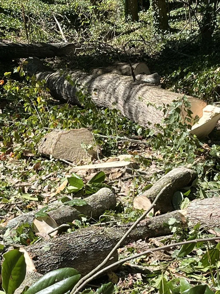 Custom outdoor landscaping for beautiful yards across Sandy Springs, GA - A & B Hardscape